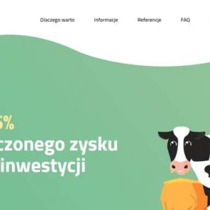 Farma mleka – pożycz pieniądze na krowę