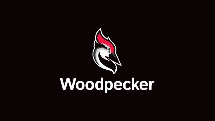 Zapisy na Woodpecker.co – na co warto zwrócić uwagę?
