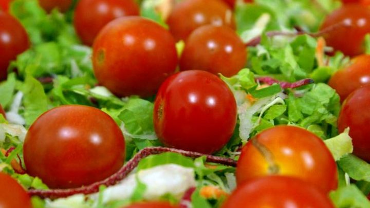 Salad Story – zdrowa żywność w zdrowej spółce?